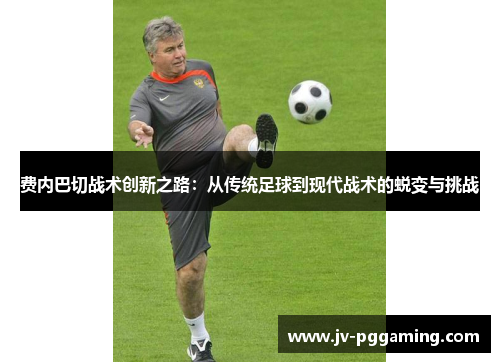 费内巴切战术创新之路：从传统足球到现代战术的蜕变与挑战