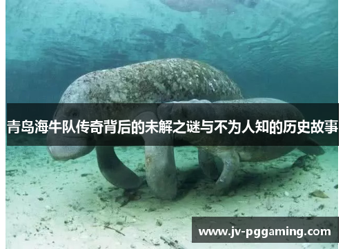 青岛海牛队传奇背后的未解之谜与不为人知的历史故事